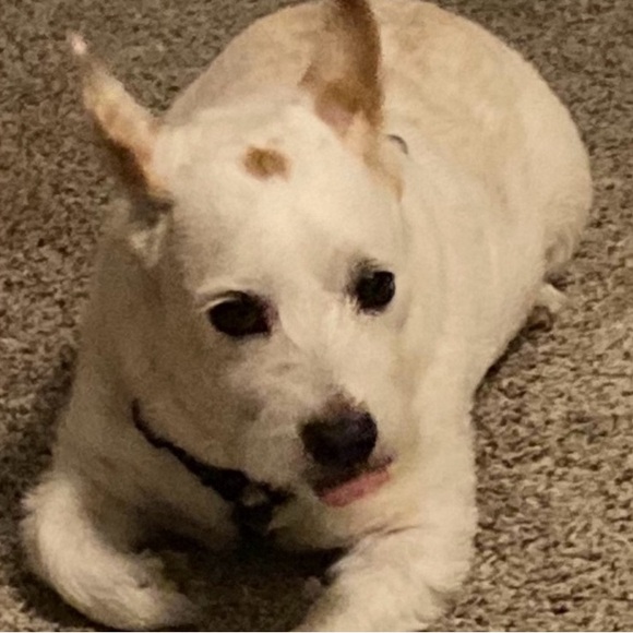 REMEMBERING YOU - Picture 3 of 4